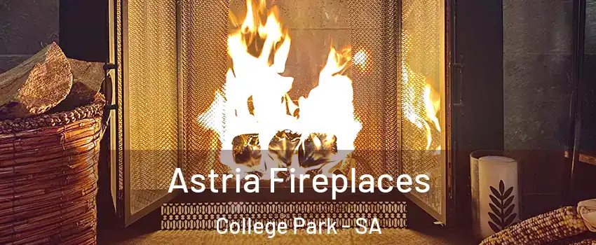  Astria Fireplaces College Park - SA