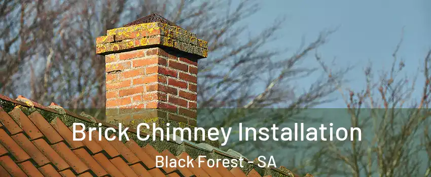  Brick Chimney Installation Black Forest - SA