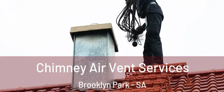  Chimney Air Vent Services Brooklyn Park - SA