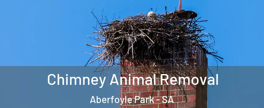 Chimney Animal Removal Aberfoyle Park - SA