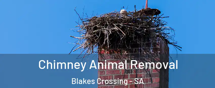 Chimney Animal Removal Blakes Crossing - SA