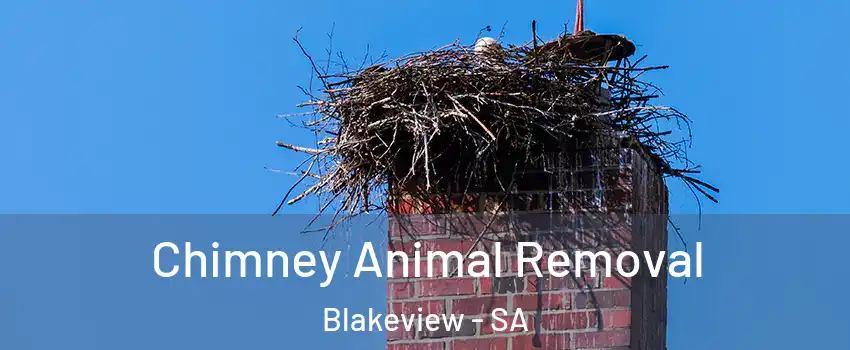  Chimney Animal Removal Blakeview - SA