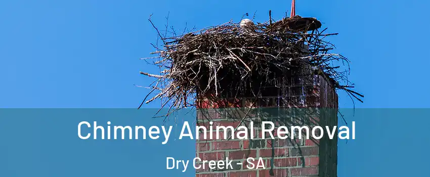 Chimney Animal Removal Dry Creek - SA
