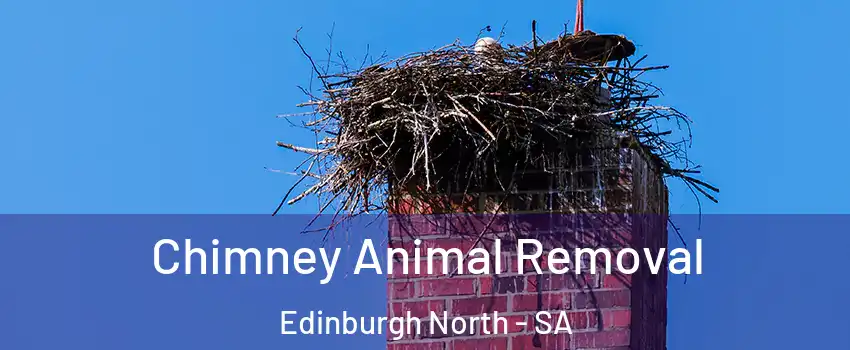  Chimney Animal Removal Edinburgh North - SA