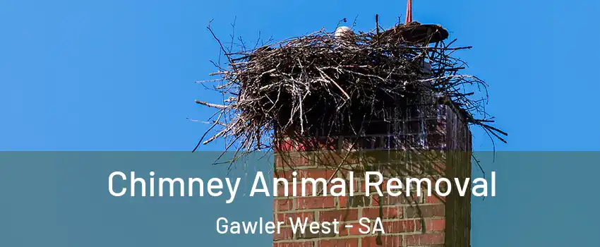  Chimney Animal Removal Gawler West - SA