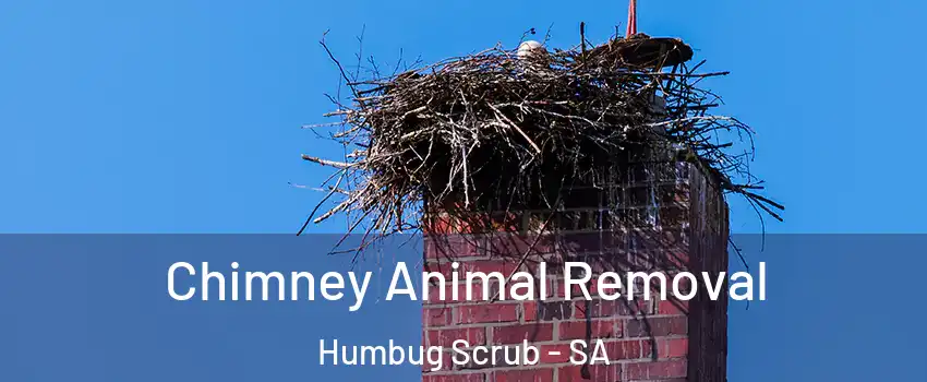 Chimney Animal Removal Humbug Scrub - SA
