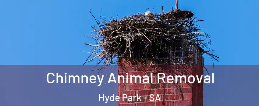 Chimney Animal Removal Hyde Park - SA