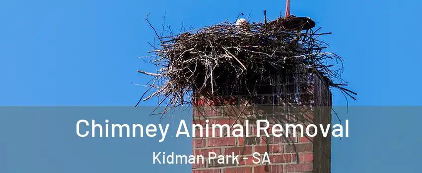 Chimney Animal Removal Kidman Park - SA