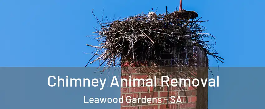 Chimney Animal Removal Leawood Gardens - SA