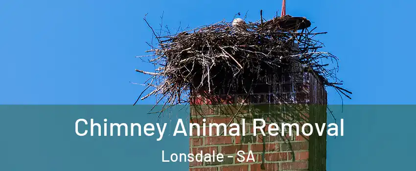 Chimney Animal Removal Lonsdale - SA