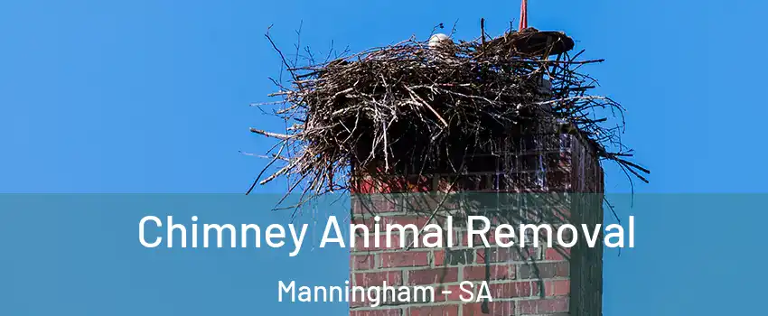 Chimney Animal Removal Manningham - SA