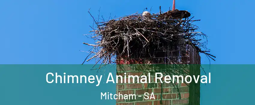 Chimney Animal Removal Mitcham - SA