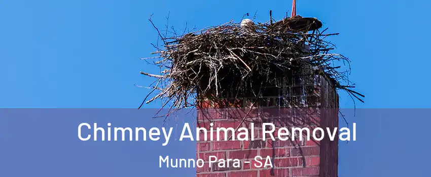 Chimney Animal Removal Munno Para - SA