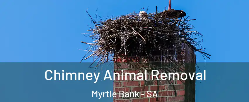 Chimney Animal Removal Myrtle Bank - SA