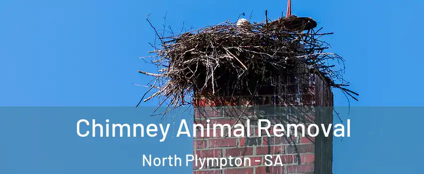 Chimney Animal Removal North Plympton - SA