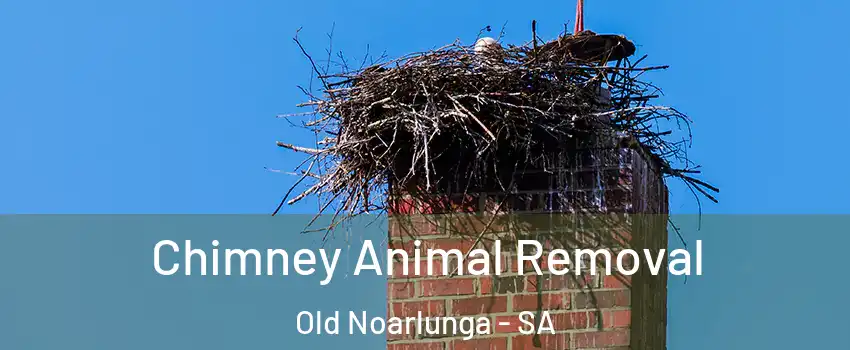 Chimney Animal Removal Old Noarlunga - SA