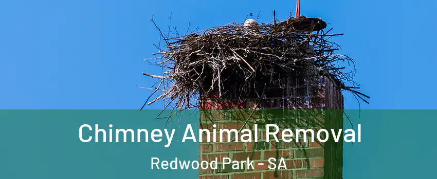 Chimney Animal Removal Redwood Park - SA
