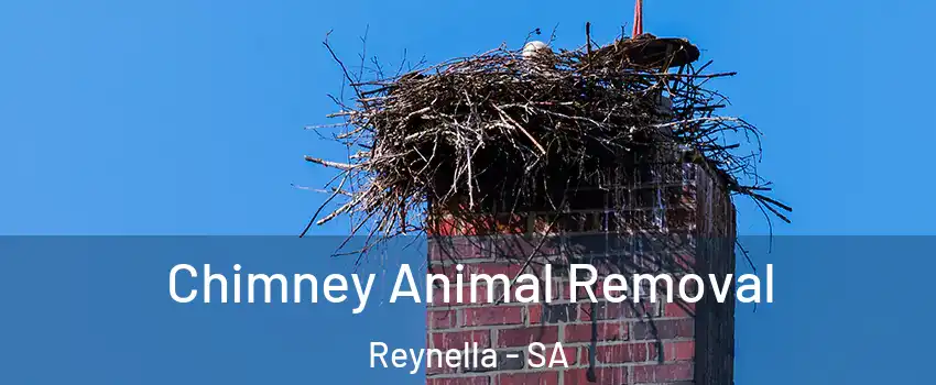 Chimney Animal Removal Reynella - SA