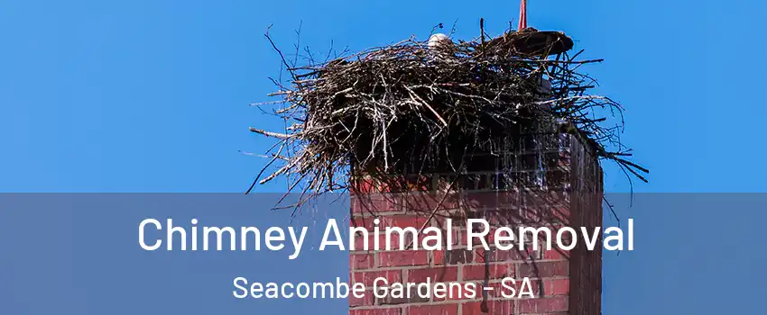 Chimney Animal Removal Seacombe Gardens - SA