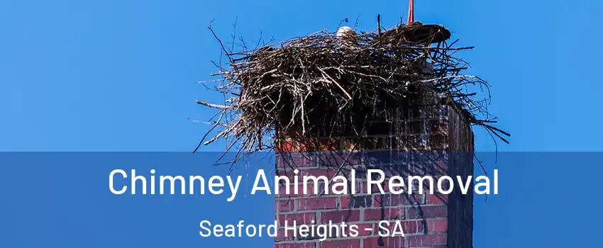 Chimney Animal Removal Seaford Heights - SA