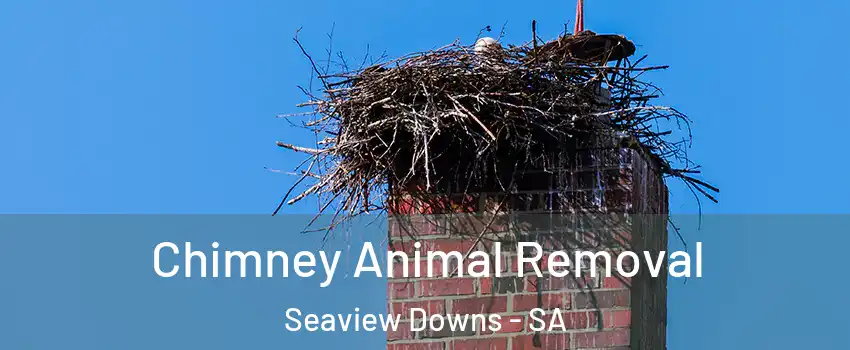  Chimney Animal Removal Seaview Downs - SA