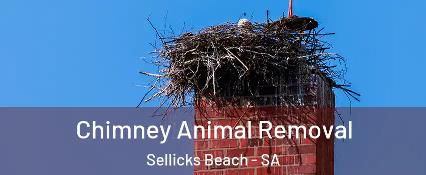 Chimney Animal Removal Sellicks Beach - SA
