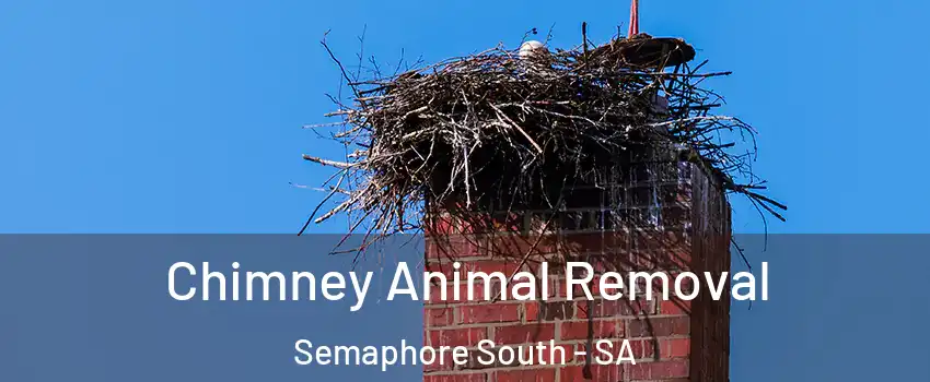 Chimney Animal Removal Semaphore South - SA
