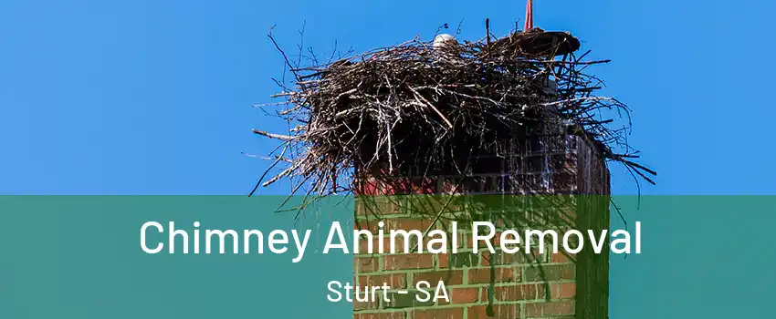 Chimney Animal Removal Sturt - SA