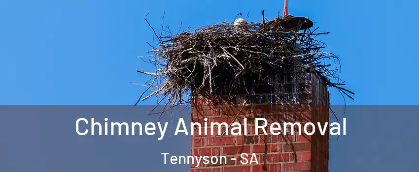 Chimney Animal Removal Tennyson - SA