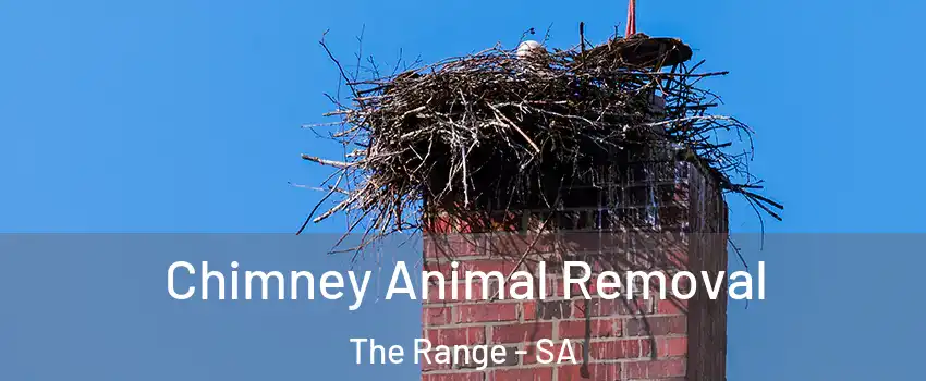 Chimney Animal Removal The Range - SA