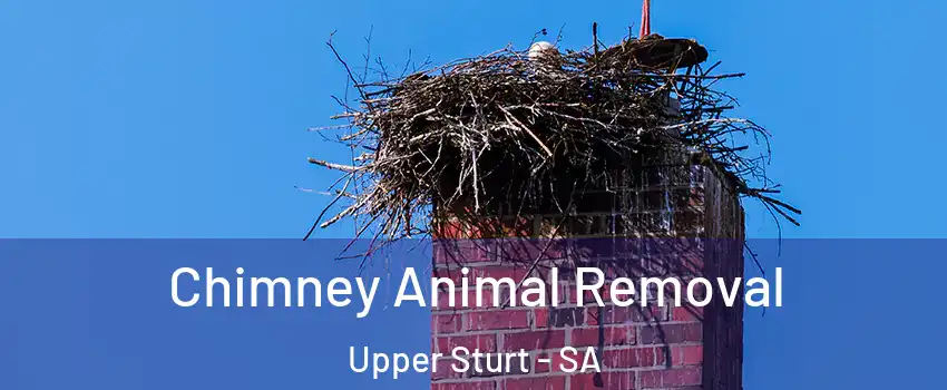Chimney Animal Removal Upper Sturt - SA