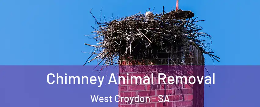 Chimney Animal Removal West Croydon - SA
