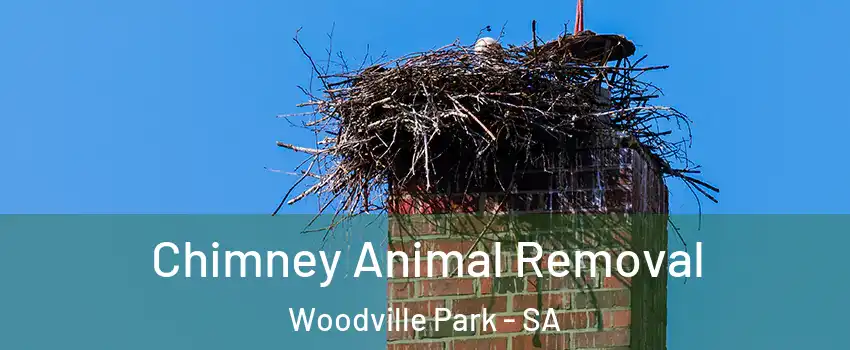 Chimney Animal Removal Woodville Park - SA