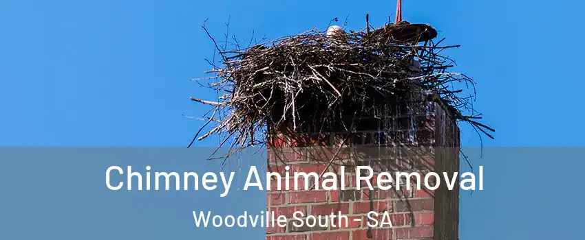 Chimney Animal Removal Woodville South - SA