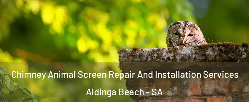 Chimney Animal Screen Repair And Installation Services Aldinga Beach - SA