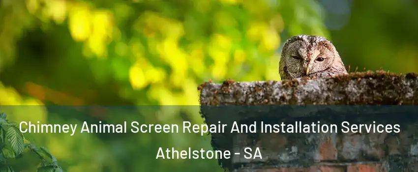 Chimney Animal Screen Repair And Installation Services Athelstone - SA