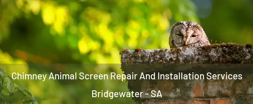  Chimney Animal Screen Repair And Installation Services Bridgewater - SA