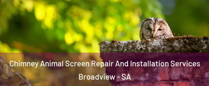 Chimney Animal Screen Repair And Installation Services Broadview - SA