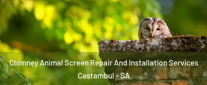  Chimney Animal Screen Repair And Installation Services Castambul - SA