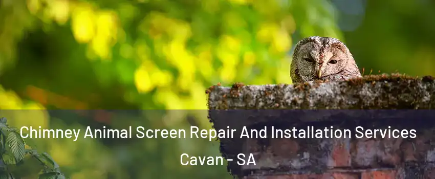 Chimney Animal Screen Repair And Installation Services Cavan - SA