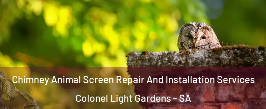 Chimney Animal Screen Repair And Installation Services Colonel Light Gardens - SA