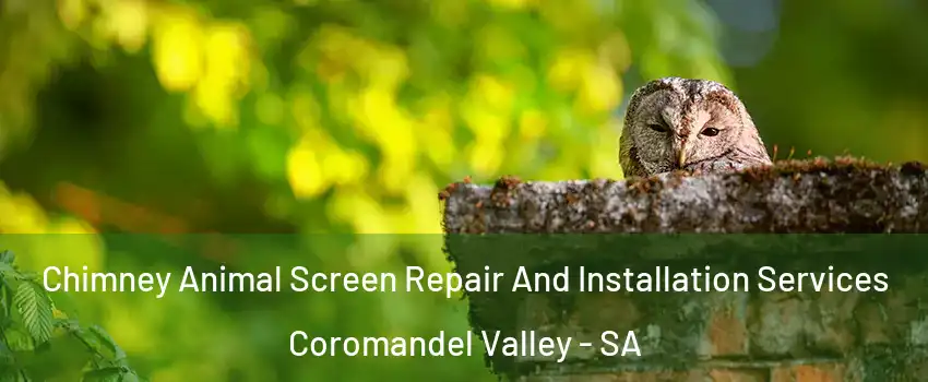  Chimney Animal Screen Repair And Installation Services Coromandel Valley - SA