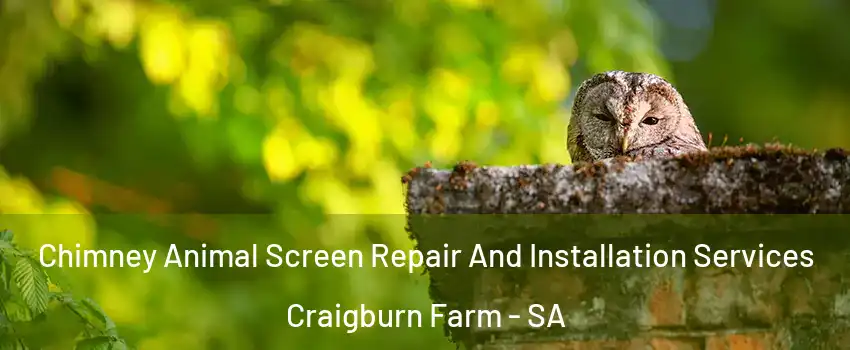 Chimney Animal Screen Repair And Installation Services Craigburn Farm - SA