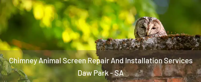 Chimney Animal Screen Repair And Installation Services Daw Park - SA