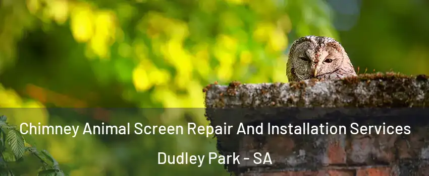 Chimney Animal Screen Repair And Installation Services Dudley Park - SA