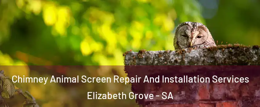 Chimney Animal Screen Repair And Installation Services Elizabeth Grove - SA