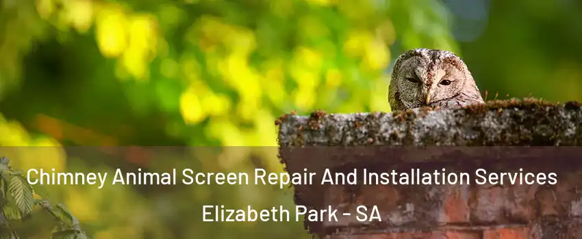 Chimney Animal Screen Repair And Installation Services Elizabeth Park - SA