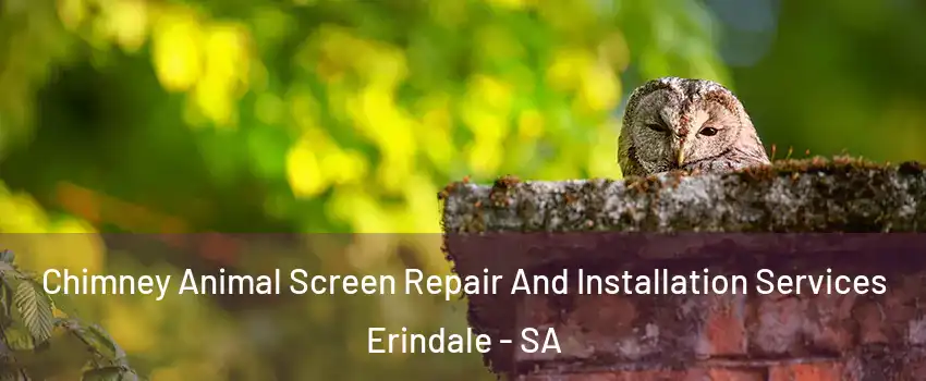 Chimney Animal Screen Repair And Installation Services Erindale - SA