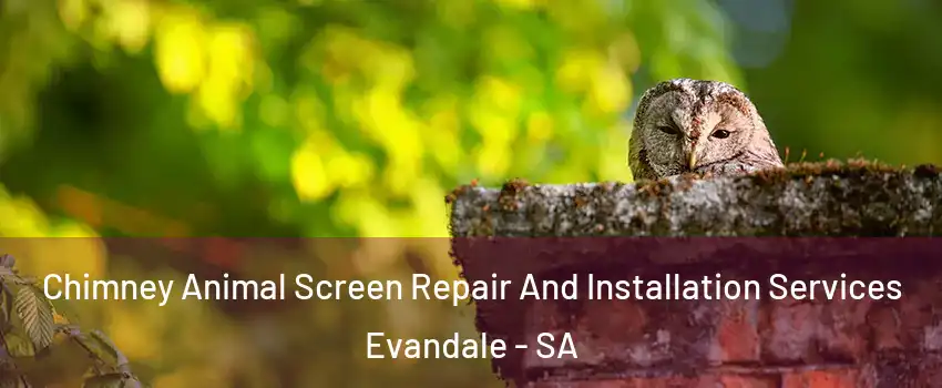 Chimney Animal Screen Repair And Installation Services Evandale - SA