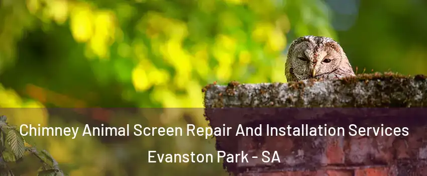Chimney Animal Screen Repair And Installation Services Evanston Park - SA